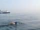 Jaguar Land Rover Channel Swim Challenge
