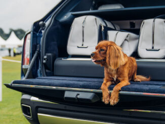Rolls-Royce Cullinan with dog on tailgate