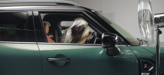 Sheep dog looking out window of MINI with fan blowing hair - MINI Announces Partnership with Dogs Trust 6