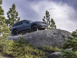 MINI Countryman Untamed Edition climbing over a boulder on a forest trail
