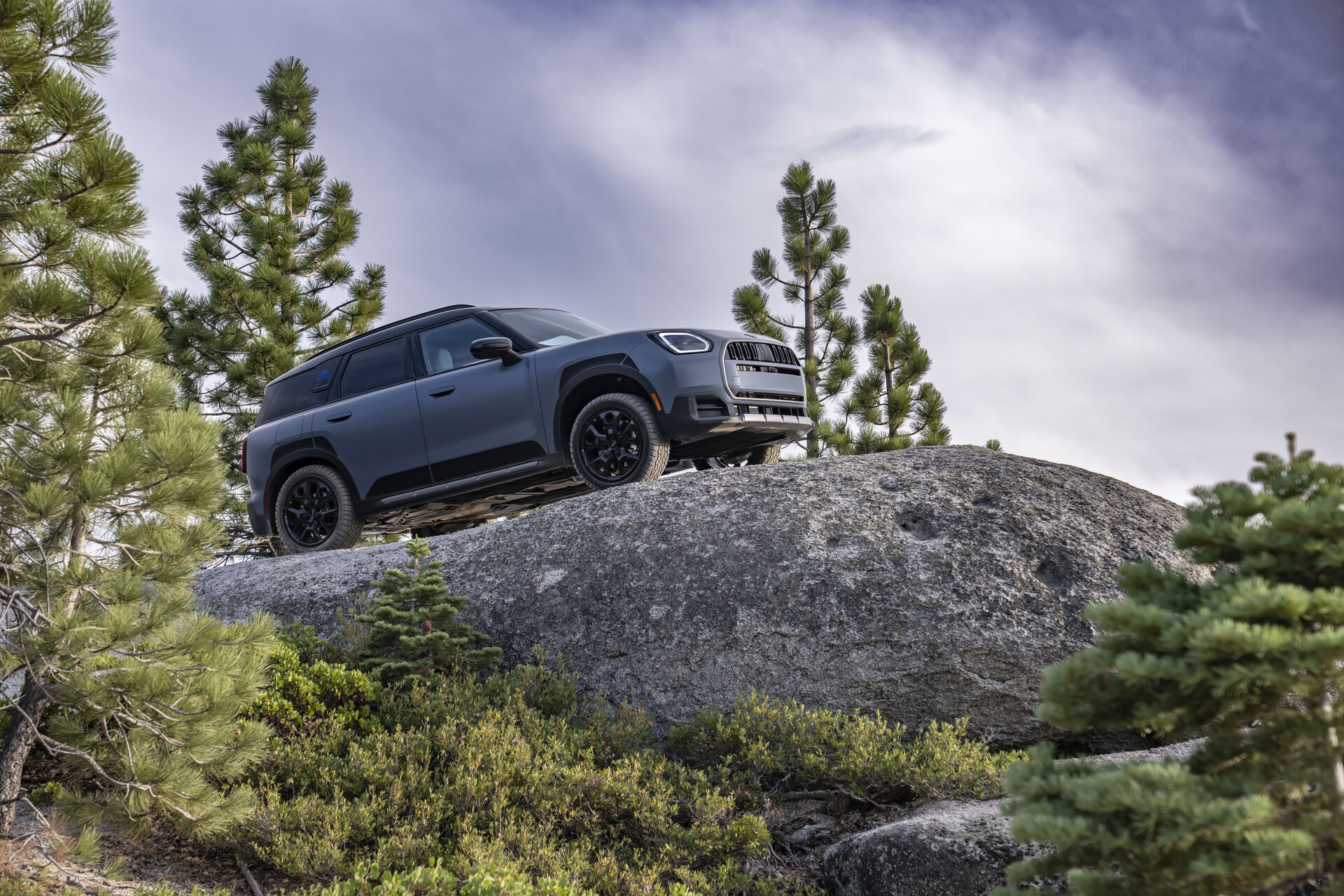 MINI Countryman Untamed Edition climbing over a boulder on a forest trail