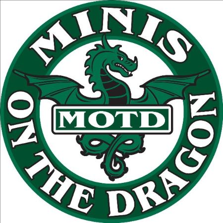 MINIs on the Dragon 2027 logo