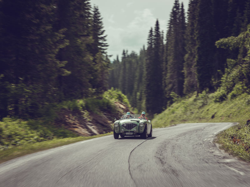Classic green Austin-Healey 100 driving a forest road on the White Nights rally